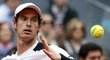 Andy Murray předvedl precizní výkon