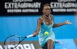 Venus Williams 