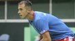 Lukáš Rosol chce dát reprezentovat v Davis Cupu a dostat se do nejlepší světové stovky