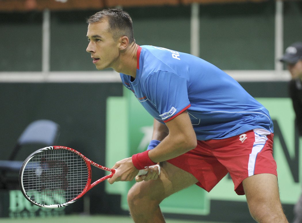 Lukáš Rosol chce dát reprezentovat v Davis Cupu a dostat se do nejlepší světové stovky