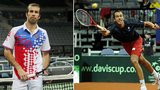 Senzace na úvod Davis Cupu: Rosol místo Štěpánka!? Navrátil to nepopřel