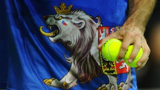 Stroj na peníze O2 arena vytěží další velké sousto. Davis Cup láká na tenisový šlágr Stroj na peníze O2 arena vytěží další velké sousto. Davis Cup láká na tenisový šlágr