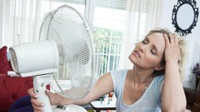 Vaše radiátory nestíhají třeskuté mrazy? Přitopte si ventilátorem, není to drahé!