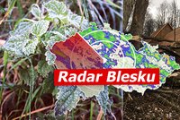 V pátek přijde vichr, v sobotu ranní mrazy. Pozor na lámání stromů a sledujte radar Blesku