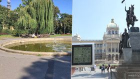 Praha se v posledních dnech potýká s tropickými vedry. Podle odborníků by pomohlo více zeleně nebo vodních prvků v ulicích.