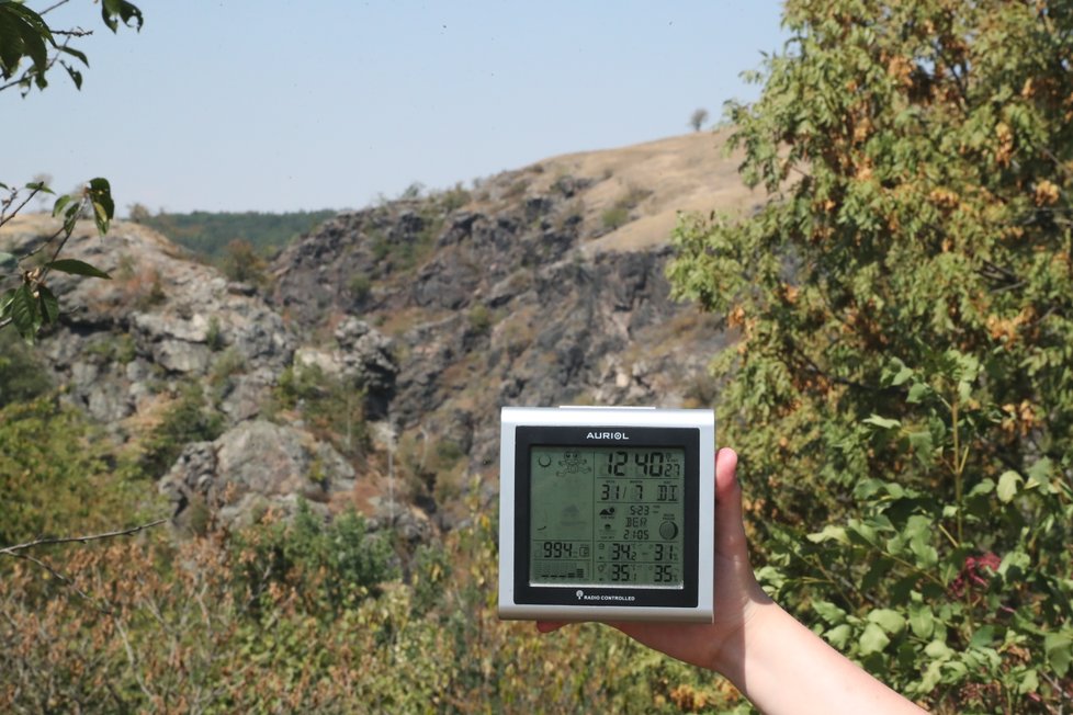 Léto svádí na procházky do přírody. Ne všude je k tomu ale to nejpříznivější počasí. Na Divoké Šárce se teplota pohybovala okolo 35° C.