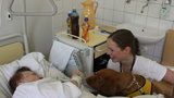 Zázračná fenka Wicky pomáhá v nemocnicích: Rozmluvila i němého pacienta