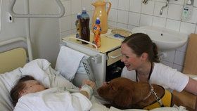 Zázračná fenka Wicky pomáhá v nemocnicích: Rozmluvila i němého pacienta