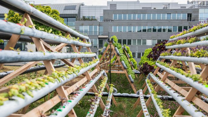 ForestBit hydroponicky pěstuje zeleninu a byliny na střeše nákupního centra.