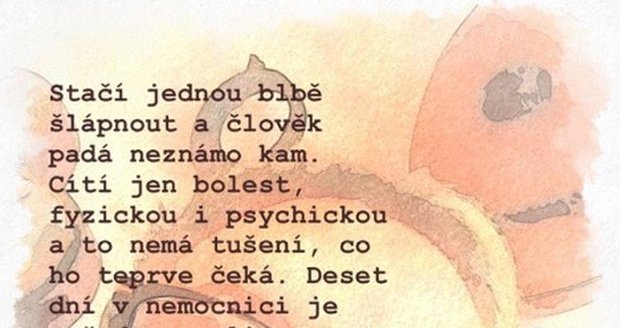 Tereza Černochová se na Instagramu rozepsala o českém zdravotnictví