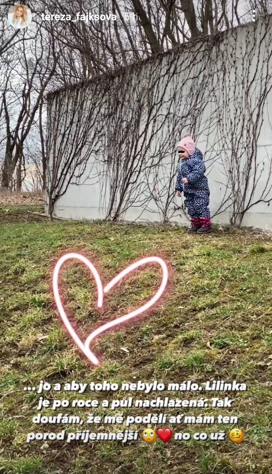 Ke starostem ohledně porodu se přidala i nemoc dcerky.