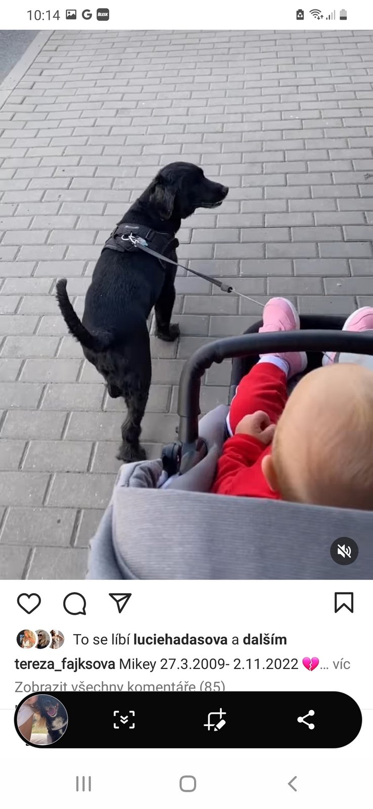 Tereza Fajksová v slzách, přišla o milovaného člena rodiny.