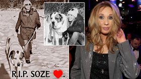 Tereza Pergnerová v slzách: Bolest a slzy kvůli smrti přítele!