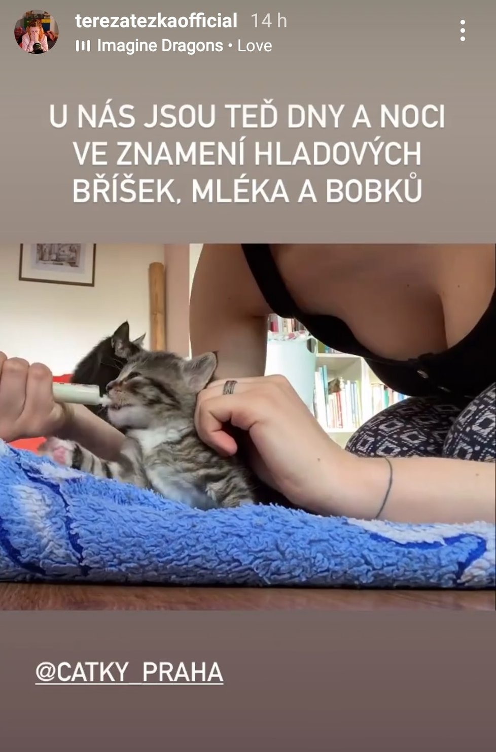 Herečka Tereza Těžká tráví „covidové prázdniny“ péčí o opuštěná koťata.