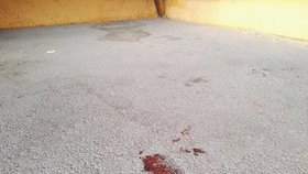 Mladík (17) zastřelil v Těrlicku kamaráda: Vražda kvůli drogám?