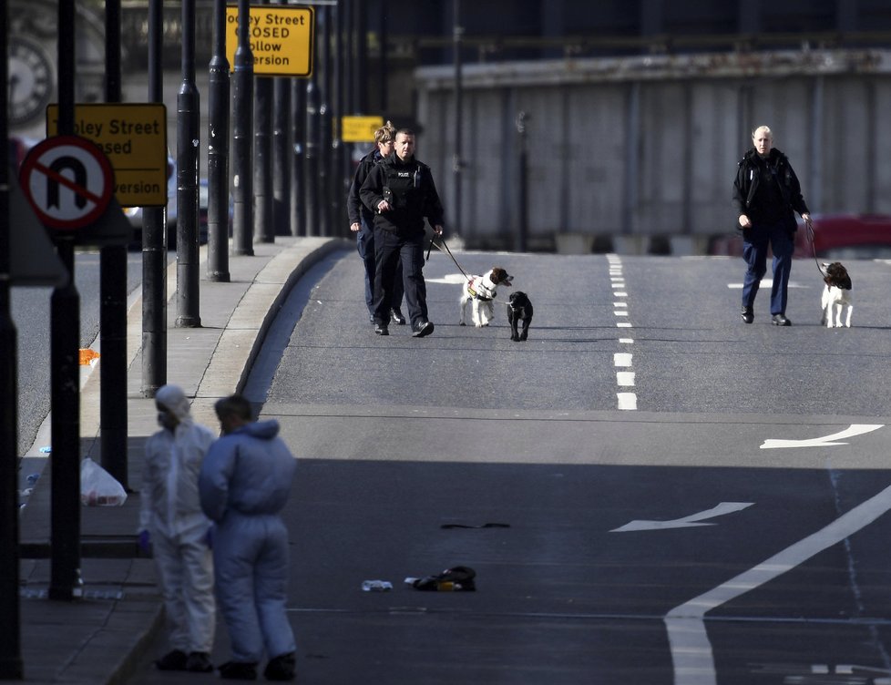 Teroristé v Londýně o víkendu najeli dodávkou do lidí na mostě London Bridge, pak vystoupili a na lidi útočili dlouhými noži.