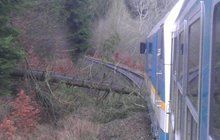 Důchodce (70) způsobil dvě nehody vlaků...je obviněn z terorismu!