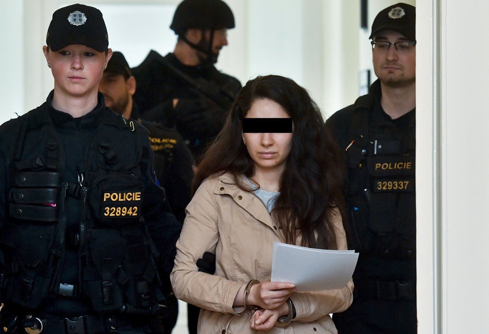 Dva Iráčané, které zadrželi 27. března 2019 na letišti v Praze, jsou podezřelí z terorismu.