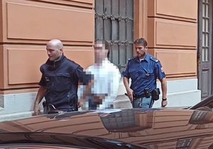 Soud s mladistvým, který plánoval v Česku podle obžaloby teroristický útok, začne u Krajského soudu v Brně 26.října.