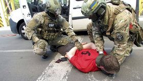 Ukrajinská tajná policie SBU potvrdila zadržení údajného teroristy, který plánoval atentáty během nadcházejícího fotbalového šampionátu ve Francii