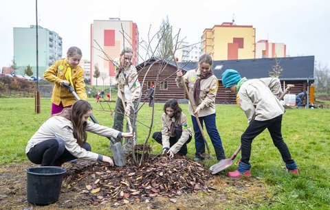 Rozhodněte, které dobročinné projekty si rozdělí 5 milionů korun