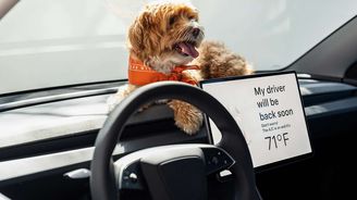 Tesla Model 3 Standard Tesla Model 3 Standard