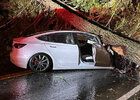 Pevná Tesla zachránila posádku před padlým stromem