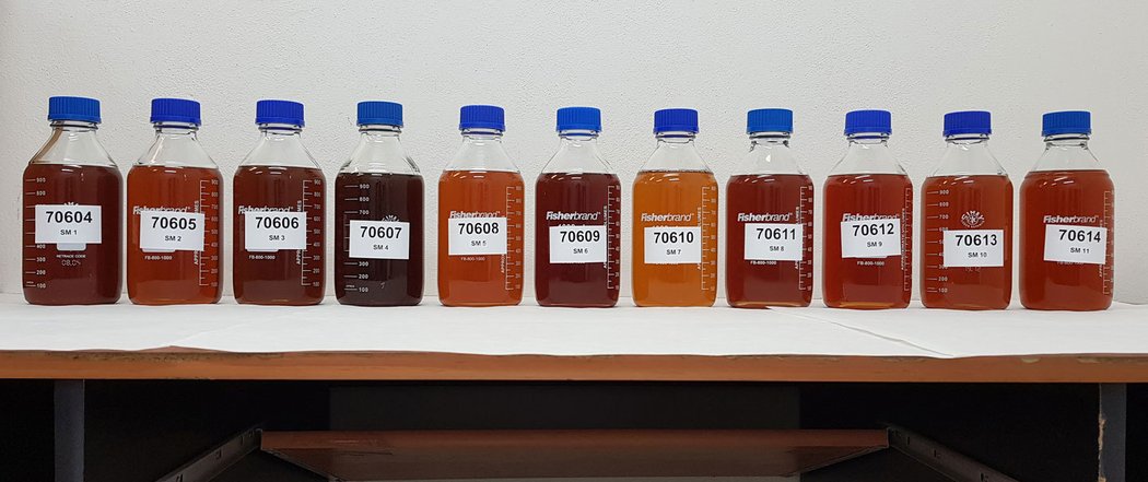 Nakoupené vzorky v uzavřených obalech jsme předali laboratořím společnosti SGS. Už barva oleje leccos napoví. Světlejší obvykle svědčí o více rafi novaném a kvalitnějším základovém oleji.