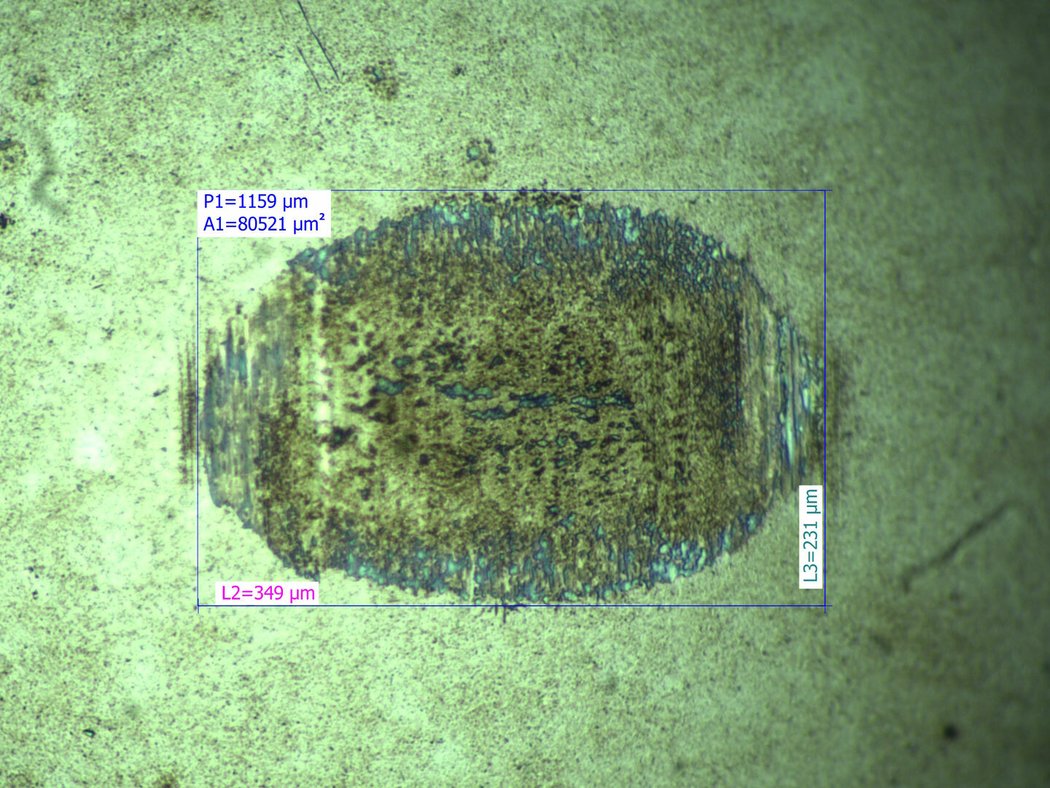 Snímek otěrové plochy na kuličce: olej Carlson (290 μm)