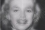Koho vidíte, Marylin Monroe, nebo Alberta Einsteina?