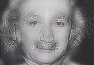 Koho vidíte, Marylin Monroe, nebo Alberta Einsteina?