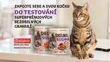 Dejte své kočce otestovat nové granule Shelma, které doporučují i veterináři!