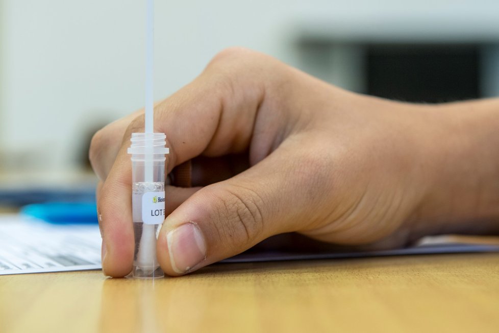 Testování na nemoc covid-19 na začátku školního roku (1. září 2021)