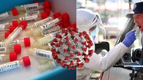 Detaily očkování Čechů proti covidu: Vakcíny pro 6,9 milionů lidí. Kdo bude první na řadě?