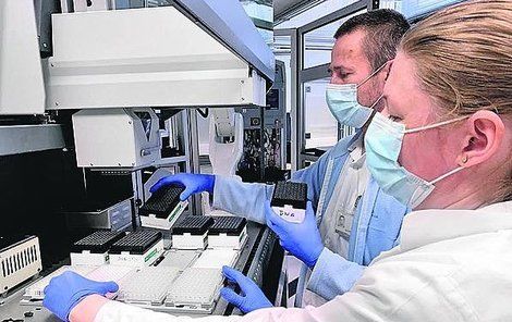 Specialisté zahájili včera velkokapacitní testování vzorků kvůli koronaviru.