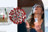 Konec nepříjemnému „dloubání“ v nose. Nové kloktací testy na covid-19 přiveze kurýr ke dveřím