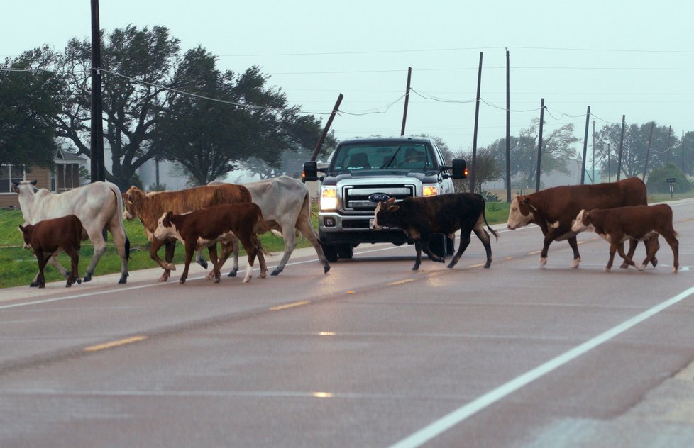 Kvůli hurikánu Harvey jsou v Texasu statisíce lidí bez elektřiny.