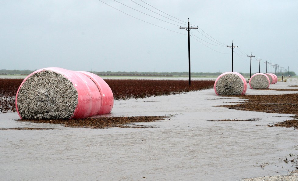 Kvůli hurikánu Harvey jsou v Texasu statisíce lidí bez elektřiny