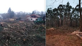 Do Rohatce na Hodonínsku najeli lesníci s těžkou technikou: Před očima užaslých obyvatel vykáceli borovicový háj