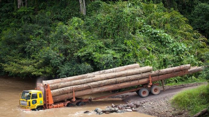 Těžba dřeva v malajsijském státě Sabah
