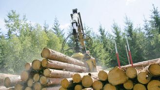 Vichr ve vedení Lesů ČR. Z původní sestavy nezůstal nikdo