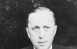 Karel Čapek