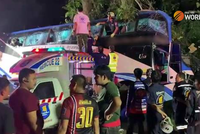 14 mrtvých v dovolenkovém ráji: Autobus narazil do stromu