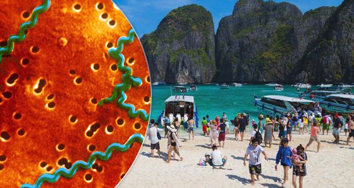 V Thajsku se rozšířila smrtelná bakterie leptospirózy, varují úřady