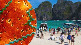 V Thajsku se rozšířila smrtelná bakterie leptospirózy, varují úřady