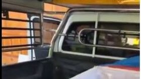 Žena v rakvi byla živá!