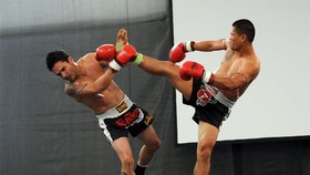 Součástí veletrhu jsou i ukázky boxu, jak jinaž než thajského