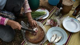 Thajský pokrm ročně způsobí smrt 20 000 lidem.