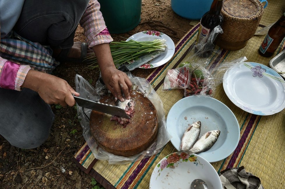 Thajský pokrm ročně způsobí smrt 20 000 lidem.