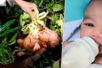 Novorozená holčička přežila dvě noci v drsné thajské džungli.